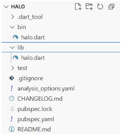Struktur Project Dart